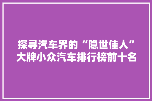 探寻汽车界的“隐世佳人”大牌小众汽车排行榜前十名