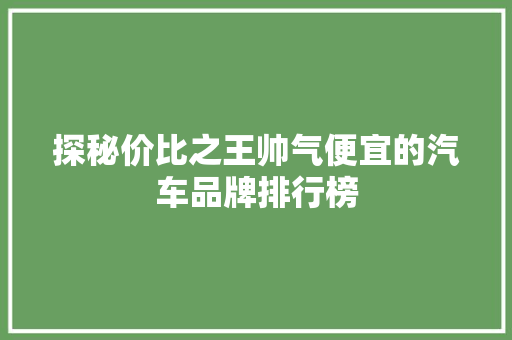 探秘价比之王帅气便宜的汽车品牌排行榜