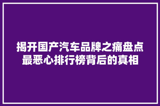 揭开国产汽车品牌之痛盘点最恶心排行榜背后的真相 车联网技术