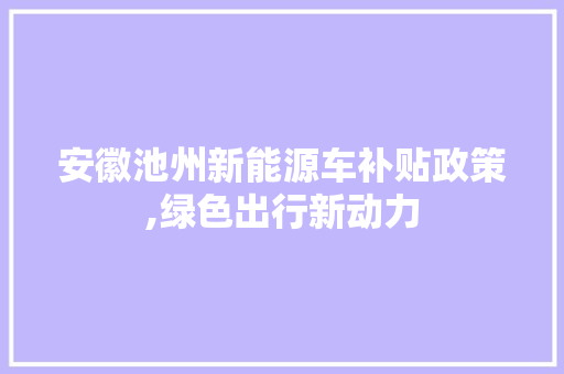 安徽池州新能源车补贴政策,绿色出行新动力