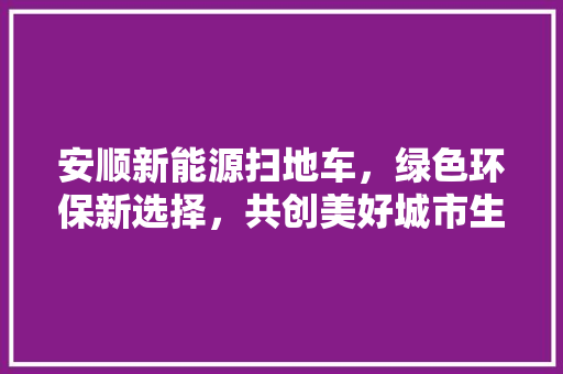 安顺新能源扫地车，绿色环保新选择，共创美好城市生活