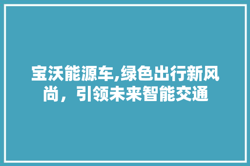 宝沃能源车,绿色出行新风尚，引领未来智能交通