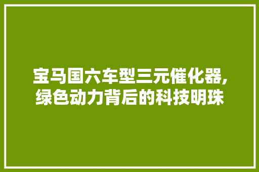 宝马国六车型三元催化器,绿色动力背后的科技明珠