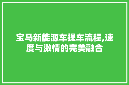 宝马新能源车提车流程,速度与激情的完美融合 混合动力车