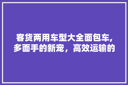 客货两用车型大全面包车,多面手的新宠，高效运输的利器