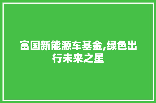 富国新能源车基金,绿色出行未来之星