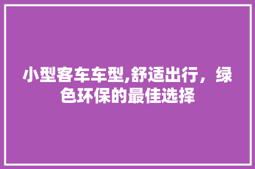 小型客车车型,舒适出行，绿色环保的最佳选择