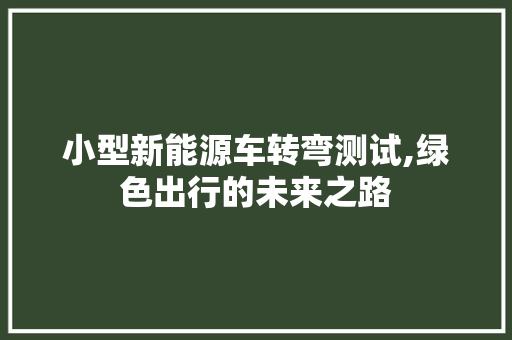 小型新能源车转弯测试,绿色出行的未来之路