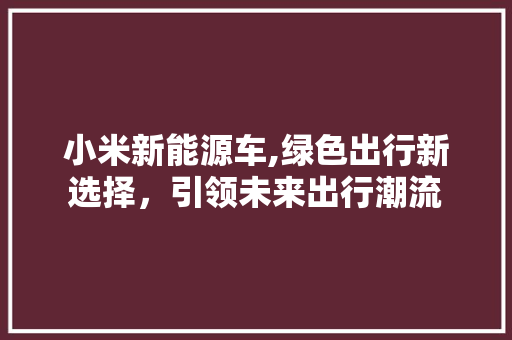 小米新能源车,绿色出行新选择，引领未来出行潮流