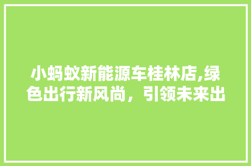 小蚂蚁新能源车桂林店,绿色出行新风尚，引领未来出行潮流