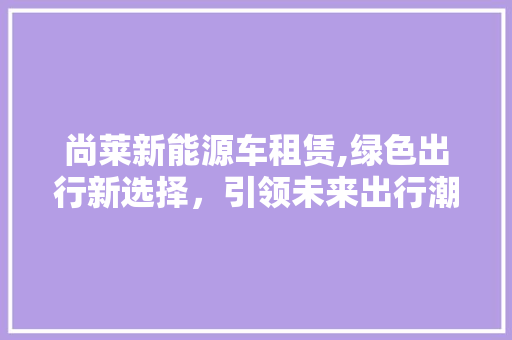 尚莱新能源车租赁,绿色出行新选择，引领未来出行潮流