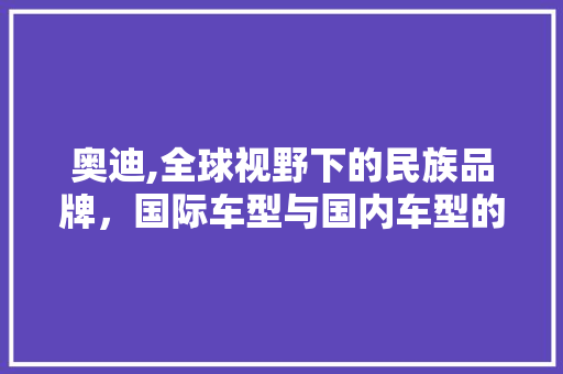 奥迪,全球视野下的民族品牌，国际车型与国内车型的交融与发展