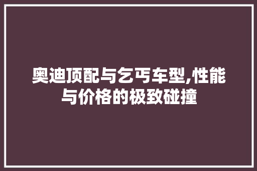 奥迪顶配与乞丐车型,性能与价格的极致碰撞 车载导航