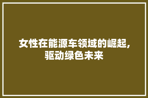 女性在能源车领域的崛起,驱动绿色未来 新能源汽车