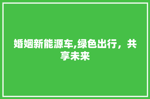 婚姻新能源车,绿色出行，共享未来