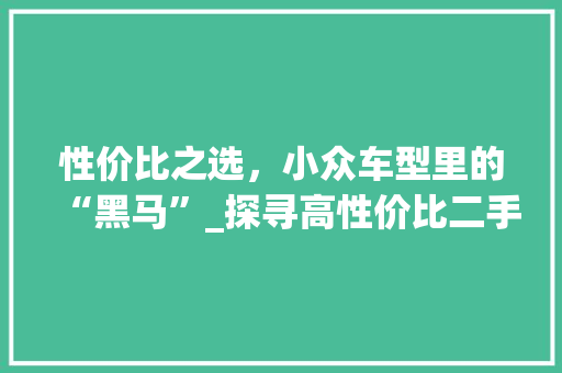 性价比之选，小众车型里的“黑马”_探寻高性价比二手车市场的隐藏宝藏