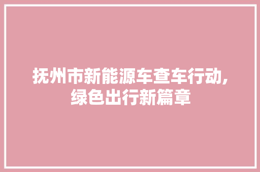 抚州市新能源车查车行动,绿色出行新篇章