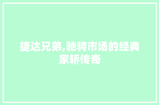 捷达兄弟,驰骋市场的经典家轿传奇