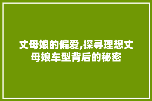 丈母娘的偏爱,探寻理想丈母娘车型背后的秘密