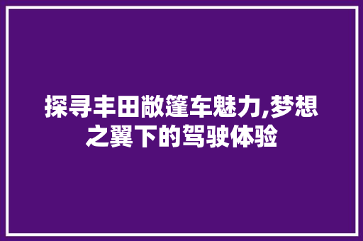 探寻丰田敞篷车魅力,梦想之翼下的驾驶体验