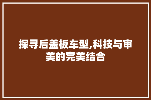 探寻后盖板车型,科技与审美的完美结合