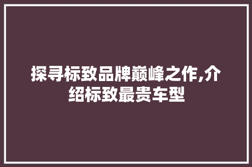 探寻标致品牌巅峰之作,介绍标致最贵车型