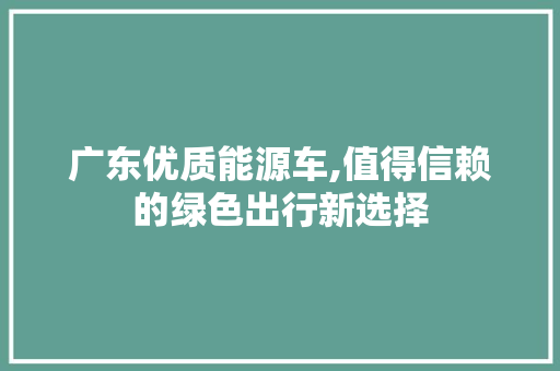 广东优质能源车,值得信赖的绿色出行新选择