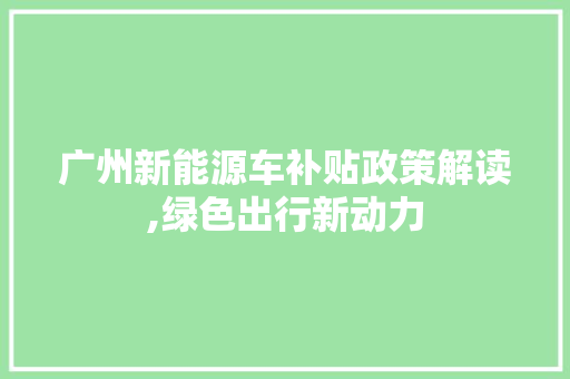 广州新能源车补贴政策解读,绿色出行新动力