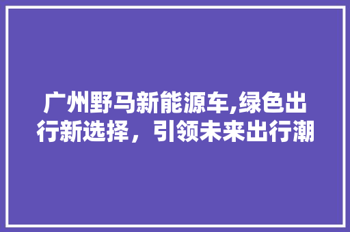 广州野马新能源车,绿色出行新选择，引领未来出行潮流