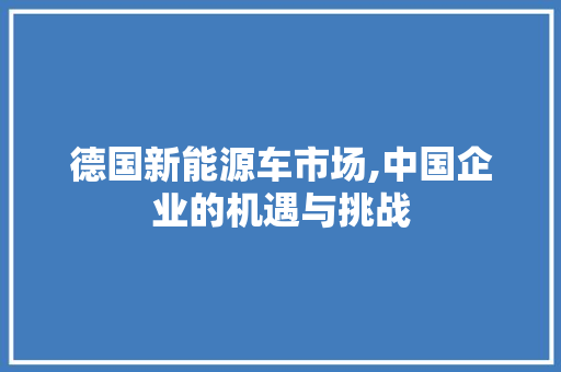 德国新能源车市场,中国企业的机遇与挑战 汽车轮胎