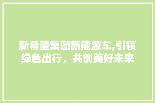 新希望集团新能源车,引领绿色出行，共创美好未来