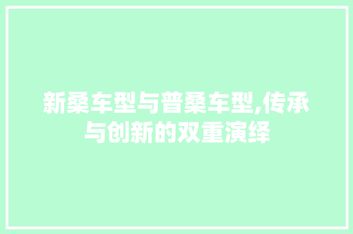 新桑车型与普桑车型,传承与创新的双重演绎