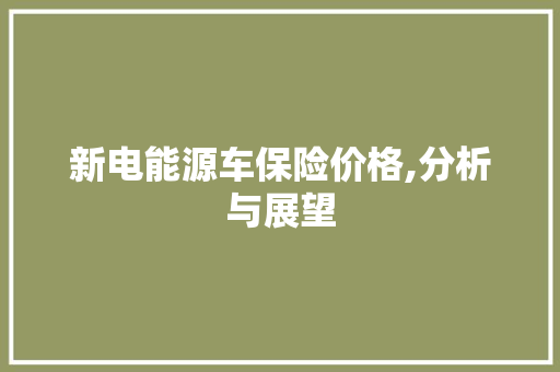 新电能源车保险价格,分析与展望 新车资讯