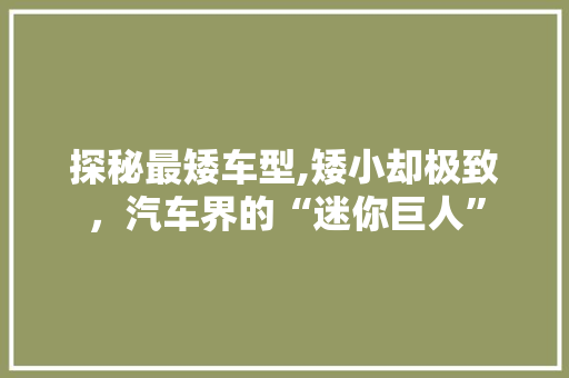 探秘最矮车型,矮小却极致，汽车界的“迷你巨人” 车联网技术