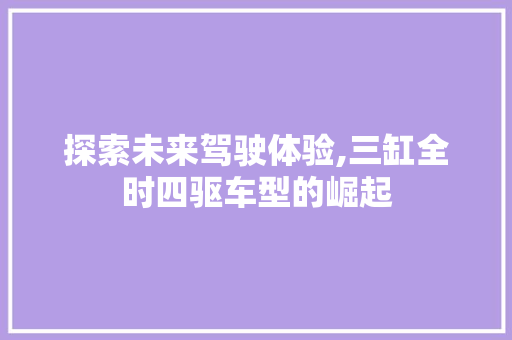 探索未来驾驶体验,三缸全时四驱车型的崛起