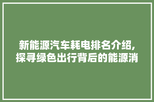 新能源汽车耗电排名介绍,探寻绿色出行背后的能源消耗真相