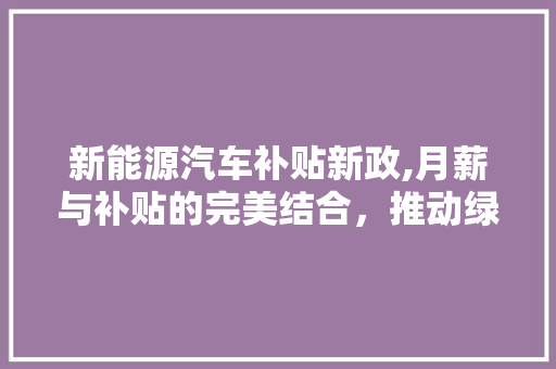 新能源汽车补贴新政,月薪与补贴的完美结合，推动绿色出行新潮流