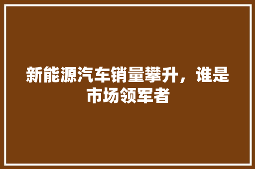 新能源汽车销量攀升，谁是市场领军者 车型评测