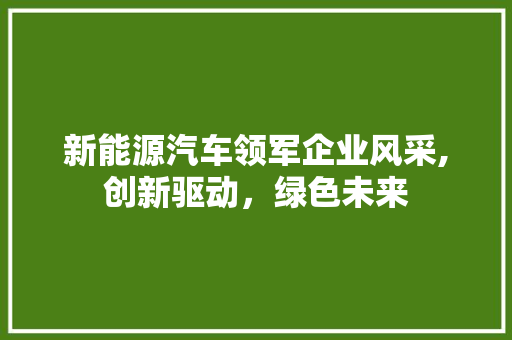 新能源汽车领军企业风采,创新驱动，绿色未来