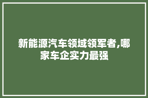 新能源汽车领域领军者,哪家车企实力最强