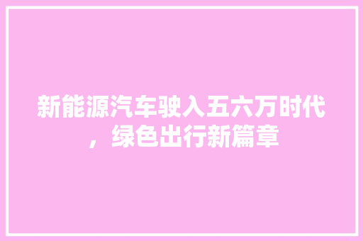 新能源汽车驶入五六万时代，绿色出行新篇章 智能驾驶