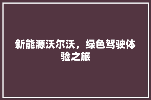 新能源沃尔沃，绿色驾驶体验之旅