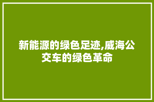 新能源的绿色足迹,威海公交车的绿色革命 混合动力车