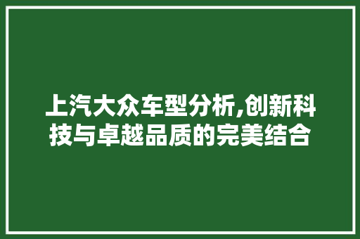 上汽大众车型分析,创新科技与卓越品质的完美结合
