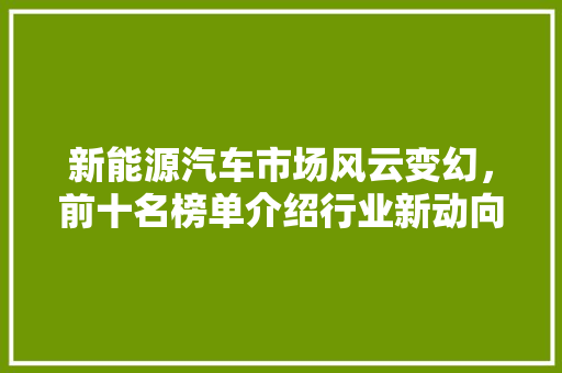 新能源汽车市场风云变幻，前十名榜单介绍行业新动向 汽车配件