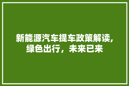 新能源汽车提车政策解读,绿色出行，未来已来