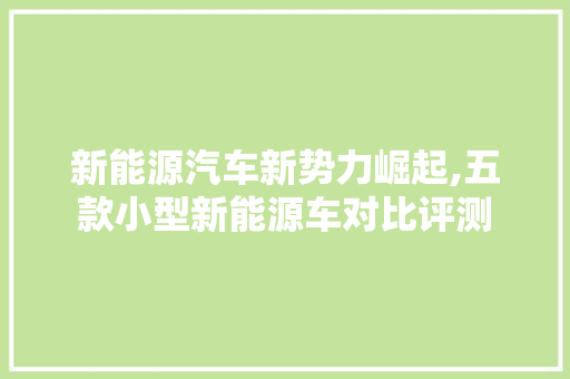 新能源汽车新势力崛起,五款小型新能源车对比评测