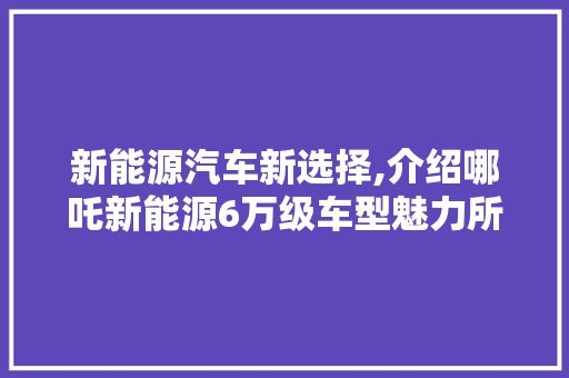 新能源汽车新选择,介绍哪吒新能源6万级车型魅力所在 车载导航