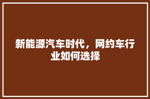新能源汽车时代，网约车行业如何选择