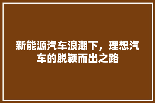 新能源汽车浪潮下，理想汽车的脱颖而出之路
